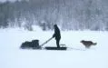 Мотобуксировщики